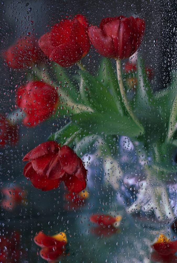 Photograph by Лариса Торопченкова