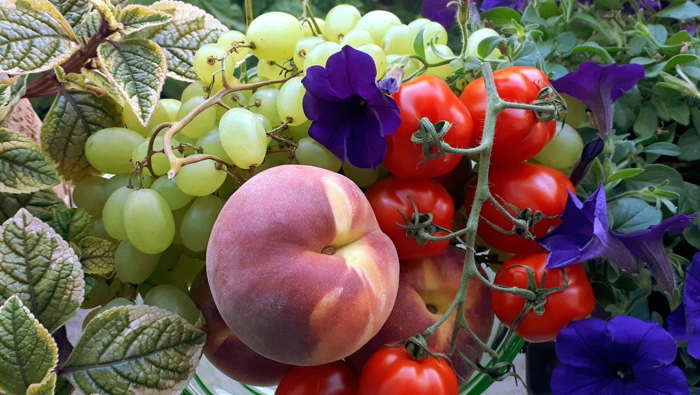 Still life on the window bench.