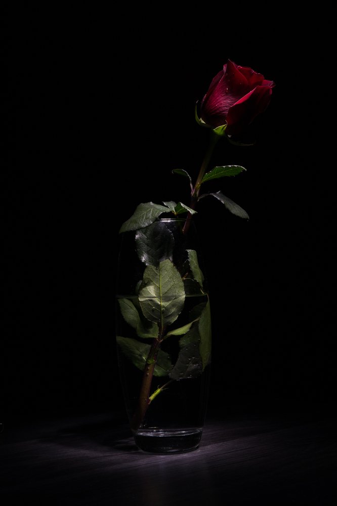 Photograph by Виктор Зотов