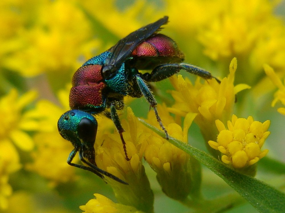 Фотография автора Павел Попов
