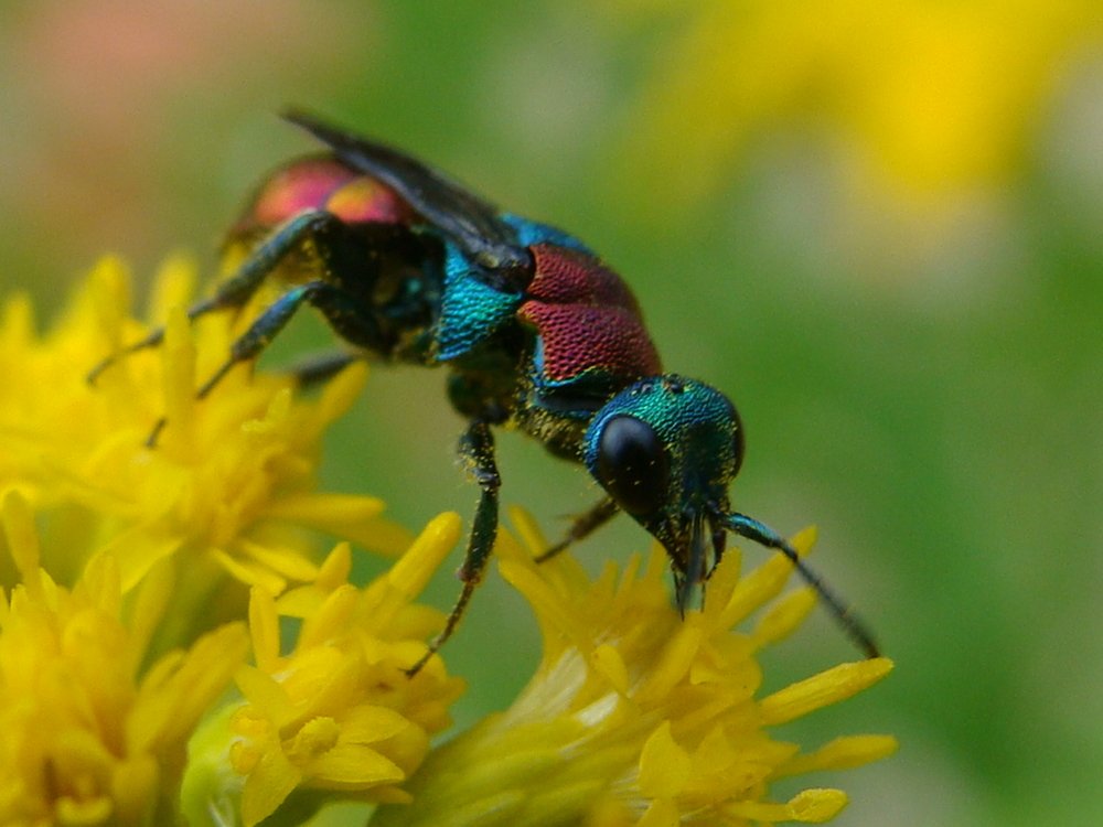 Фотография автора Павел Попов