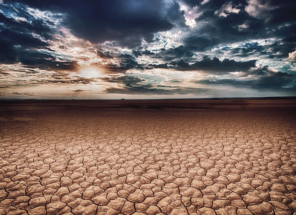 Photograph by Anna Samagina