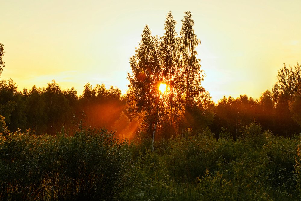 Photograph by Ольга Денисова