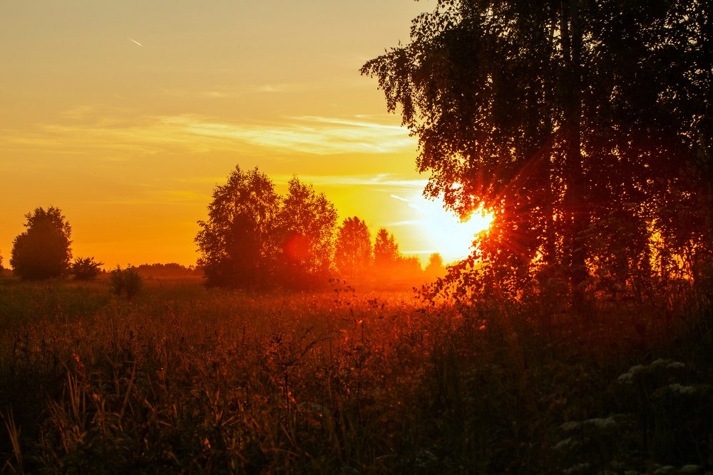 Photograph by Ольга Денисова