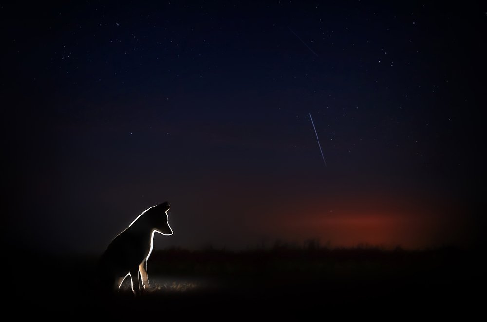 Photograph by Екатерина Кикоть