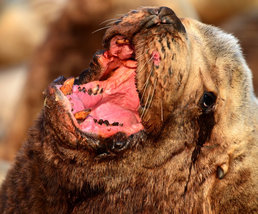 Photograph by Александр Мухин