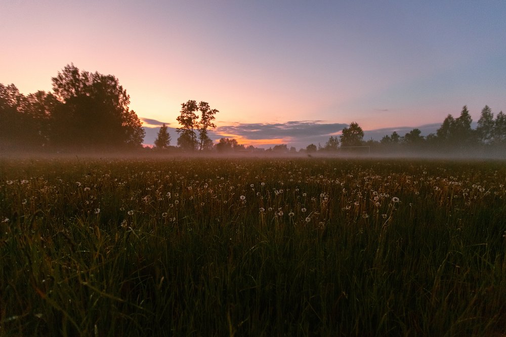 Photograph by Ольга Денисова