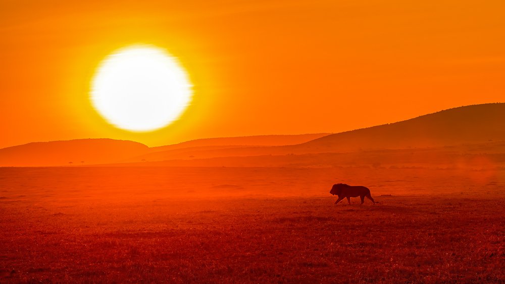 Photograph by P Shibu