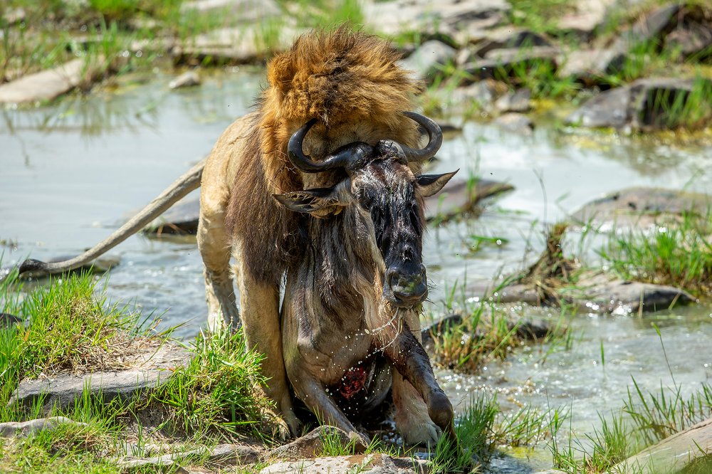 Photograph by P Shibu