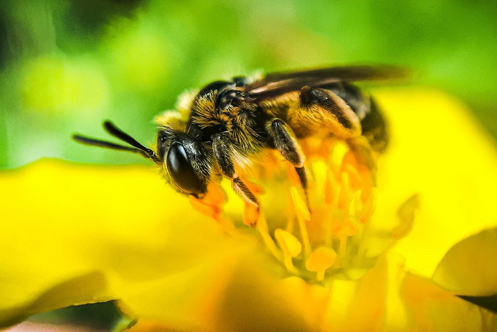 Photograph by Юлия Шматова