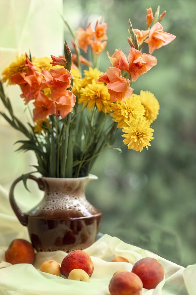 Photograph by Марина Комина