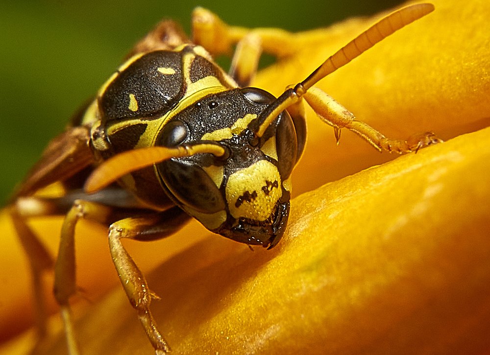 Photograph by Виктор Ноговицин