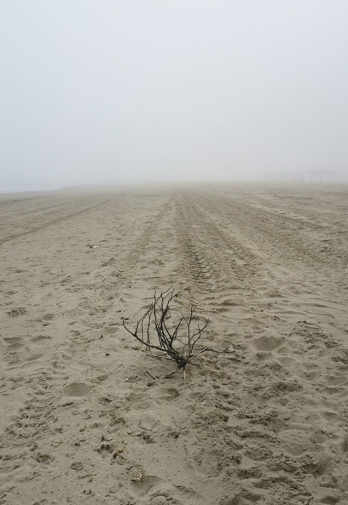 Photograph by Екатерина Ким