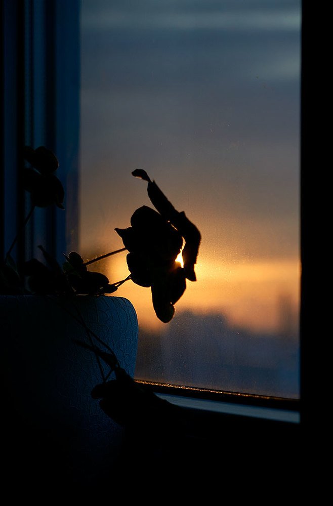 Photograph by Екатерина Ким