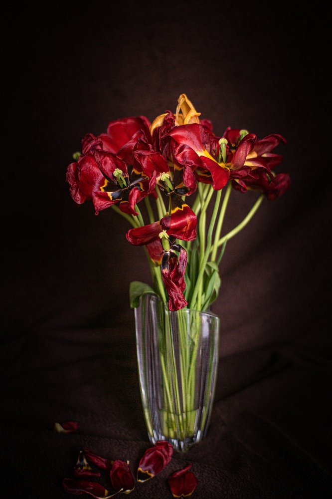 Photograph by Людмила Коробова