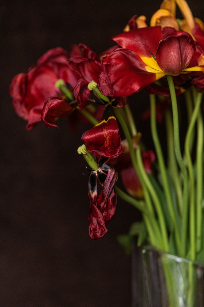 Photograph by Людмила Коробова