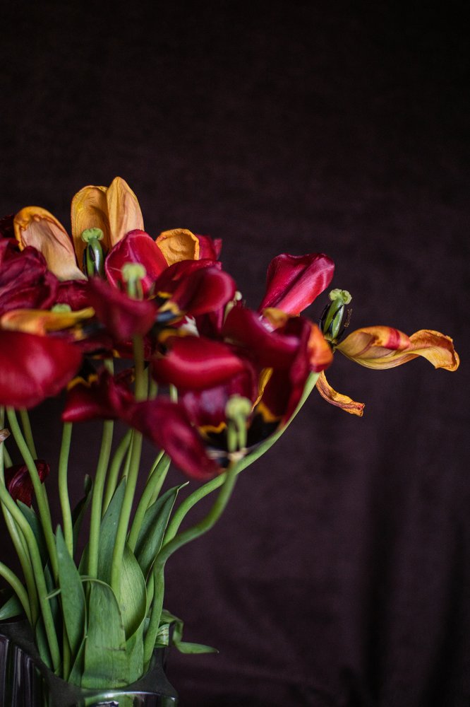 Photograph by Людмила Коробова