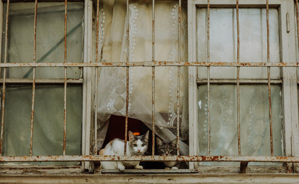 Photograph by Роман Троцан