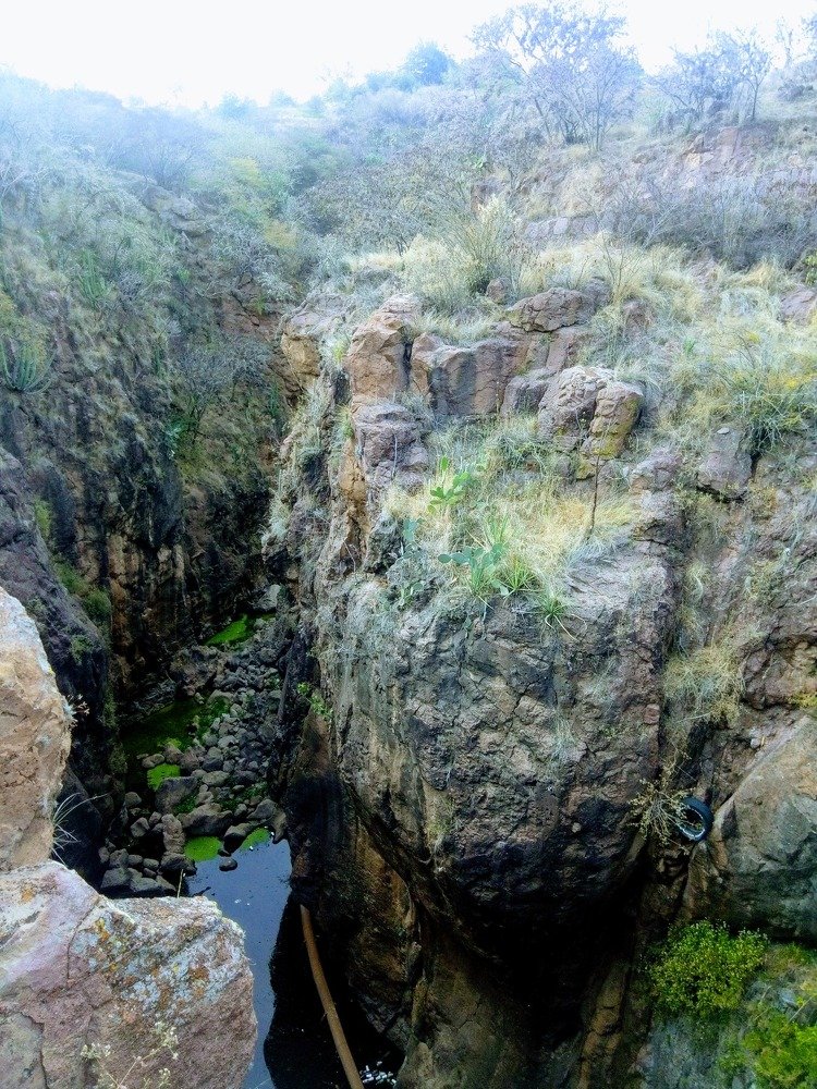 PASAIJE Y CAUCHO