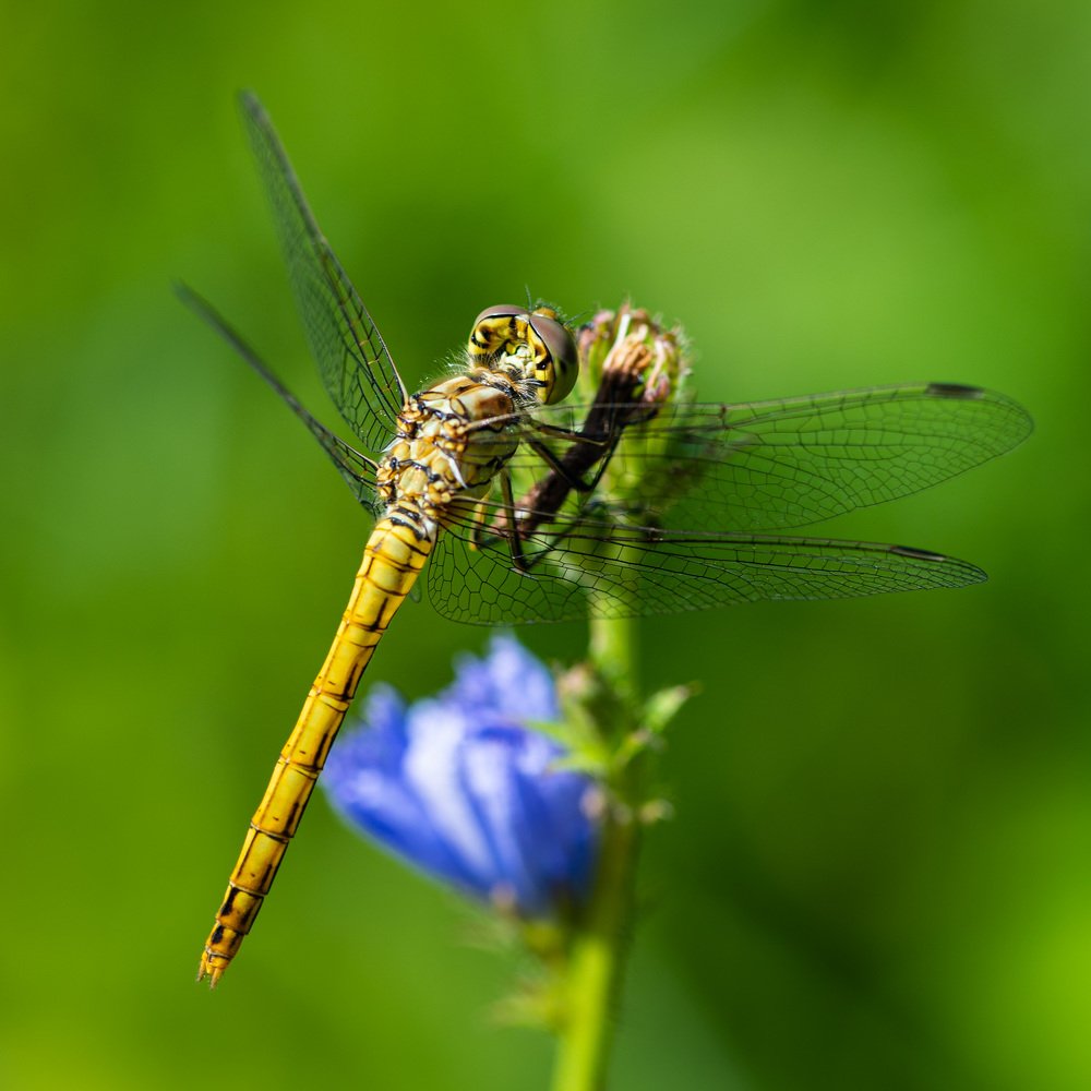 Photograph by Дмитрий Крючков
