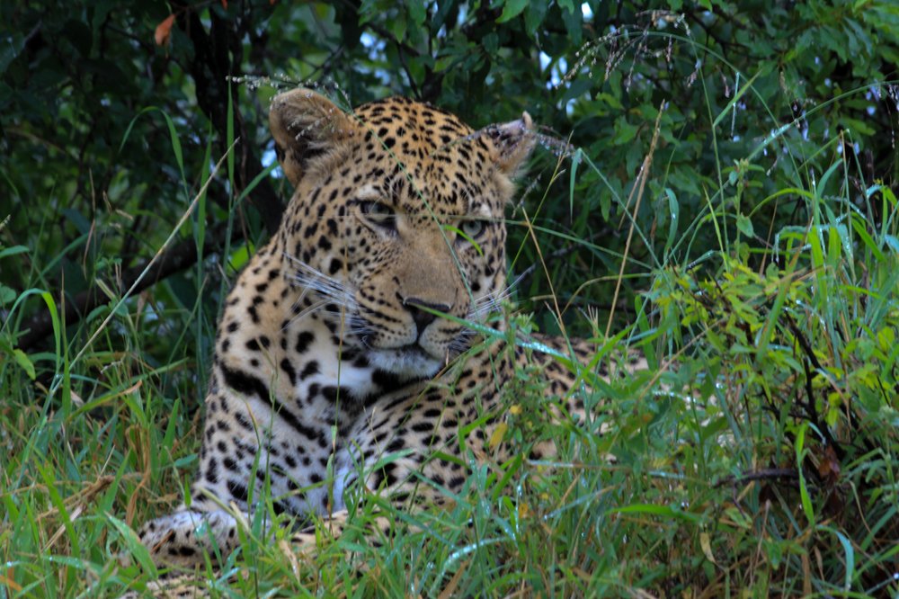 Фотография автора Juan Toledo