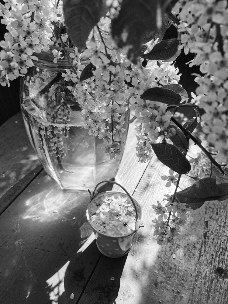 Photograph by Виктория Кузина