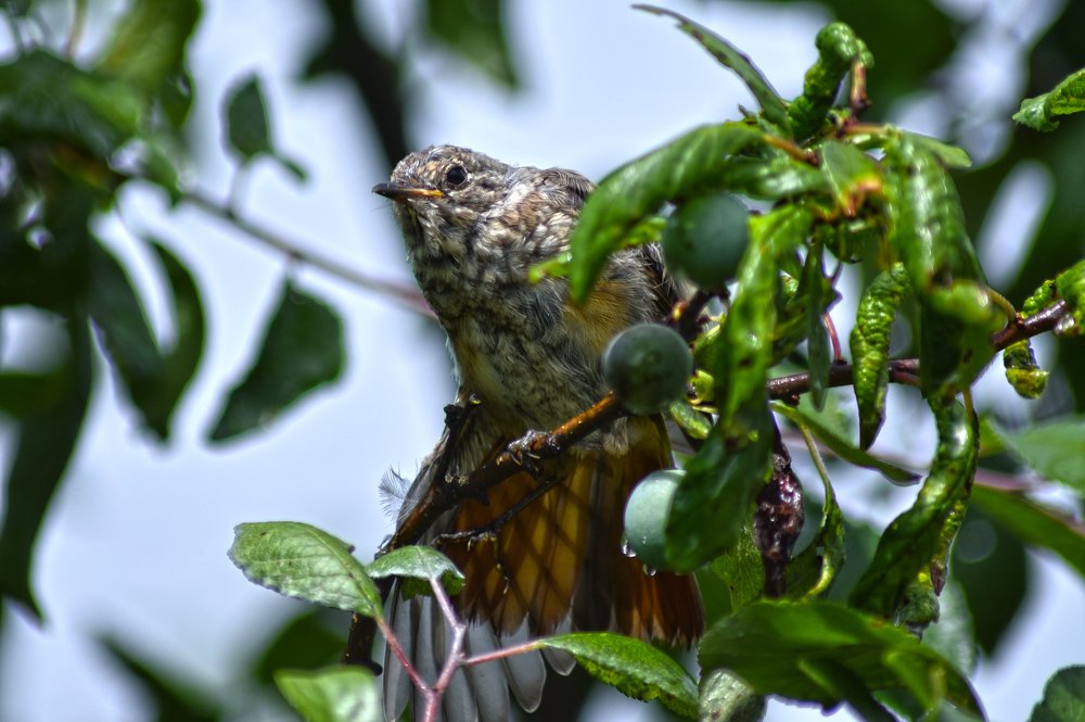 Photograph by Коротков Алексей