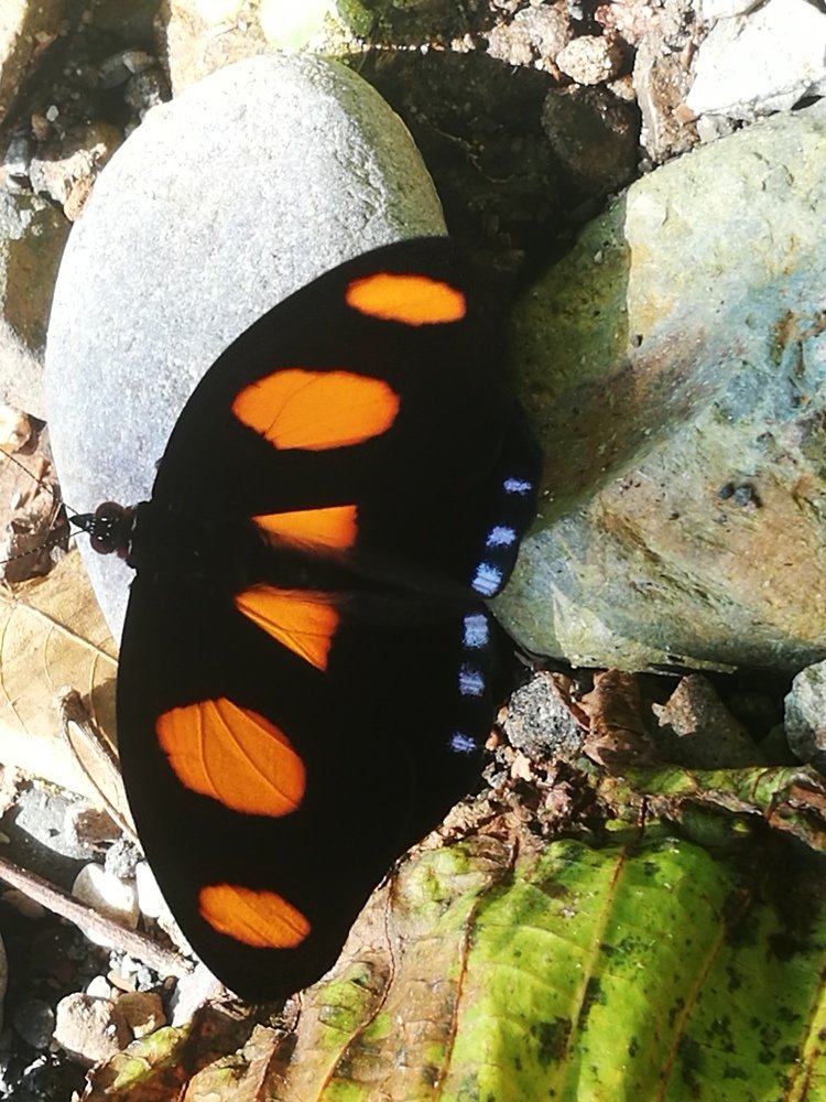 Photograph by YESID CASTRO