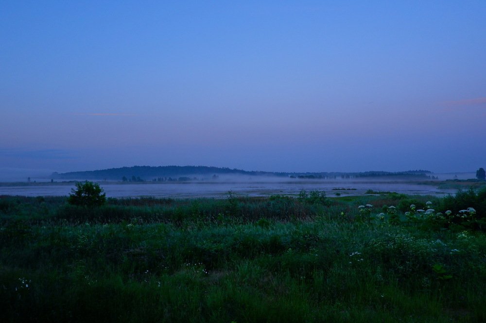 Photograph by Виктор Чернышов