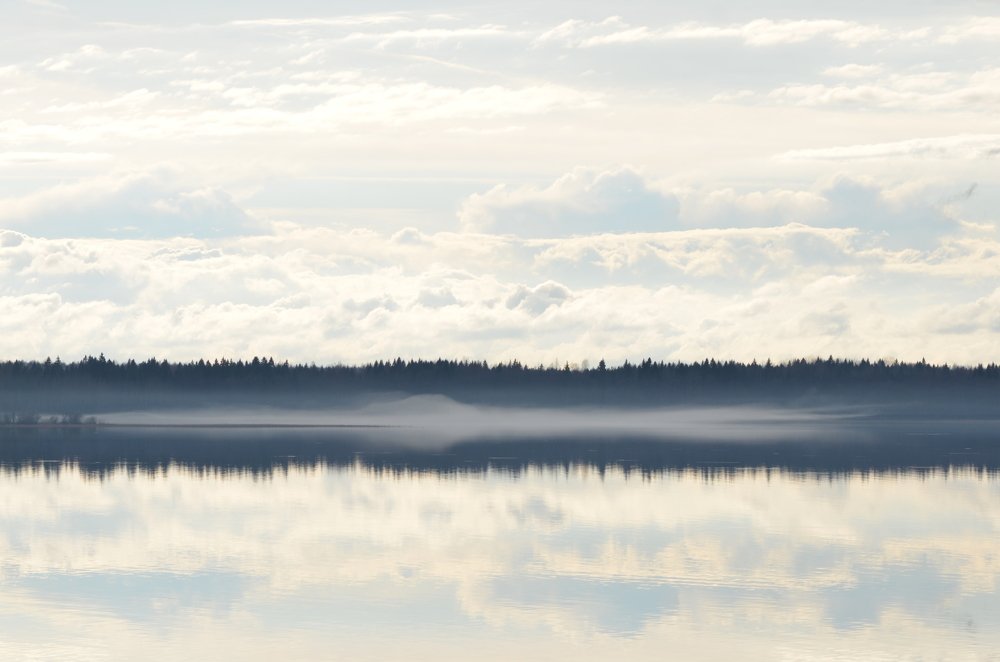 Живой туман.