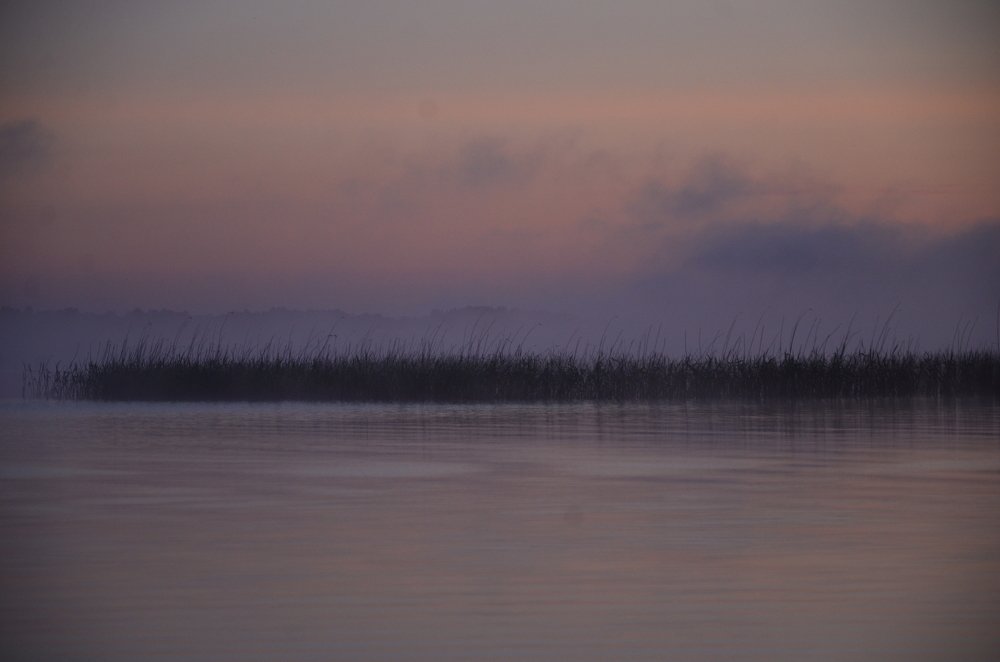 Перед рассветом...