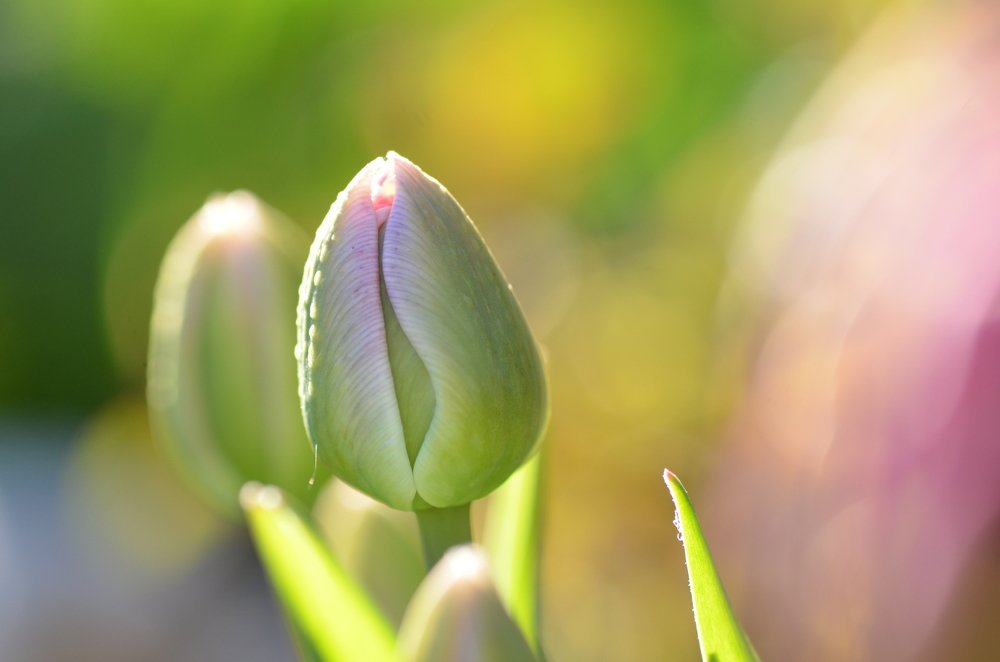 Жизнь впереди!