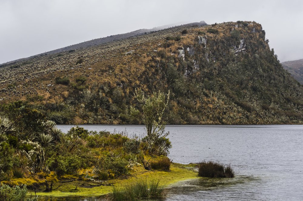 Photograph by G.Chacon H.