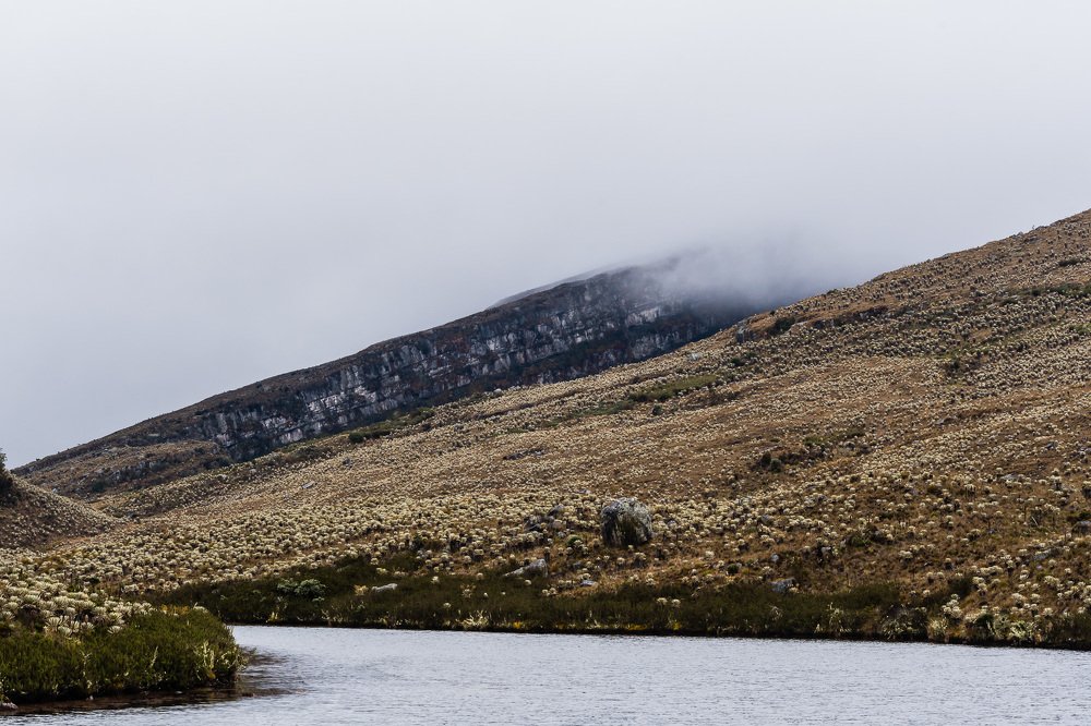 Photograph by G.Chacon H.