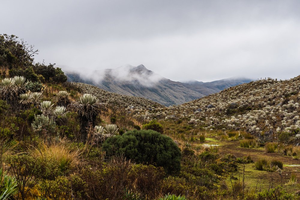 Photograph by G.Chacon H.