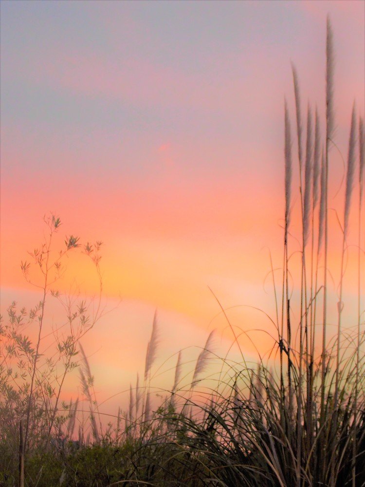Photograph by Graciela Ruiz