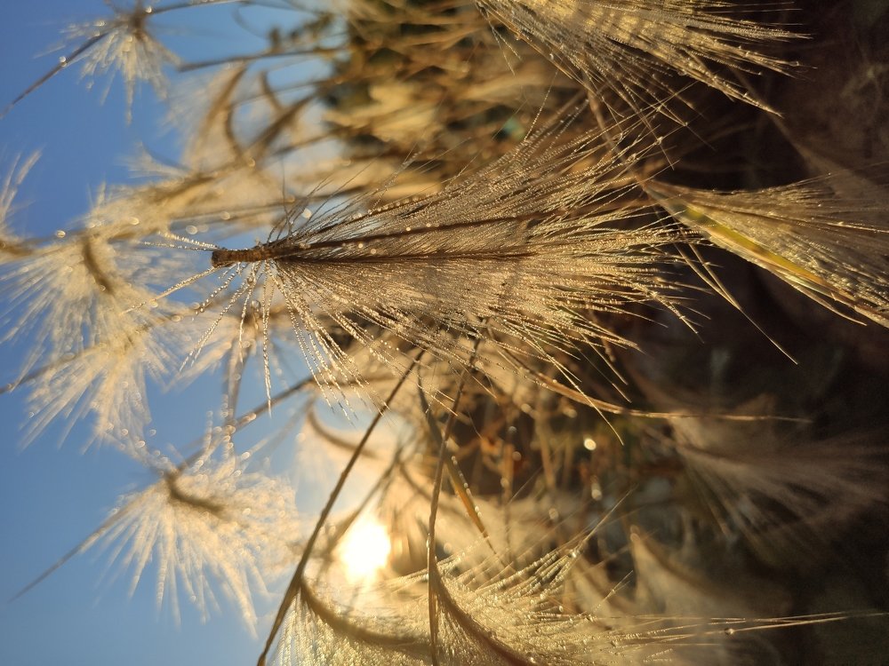 Photograph by Сергей Барабулькин