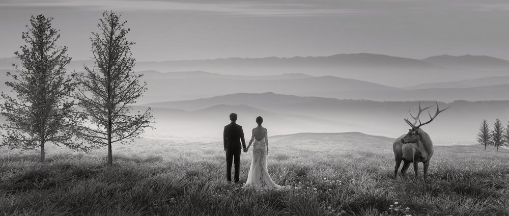 Photograph by Yehsi Jon