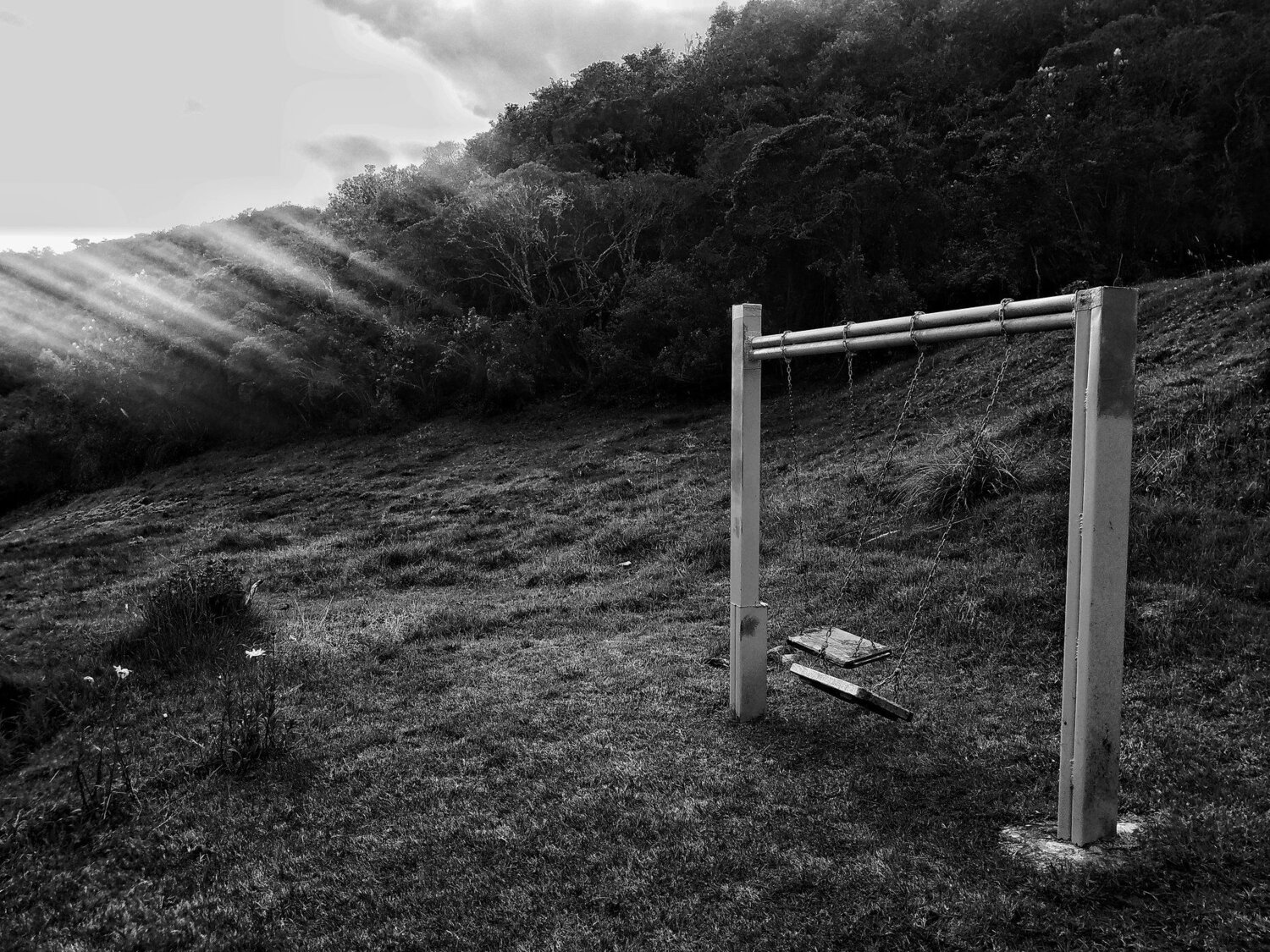 Photo #4800552