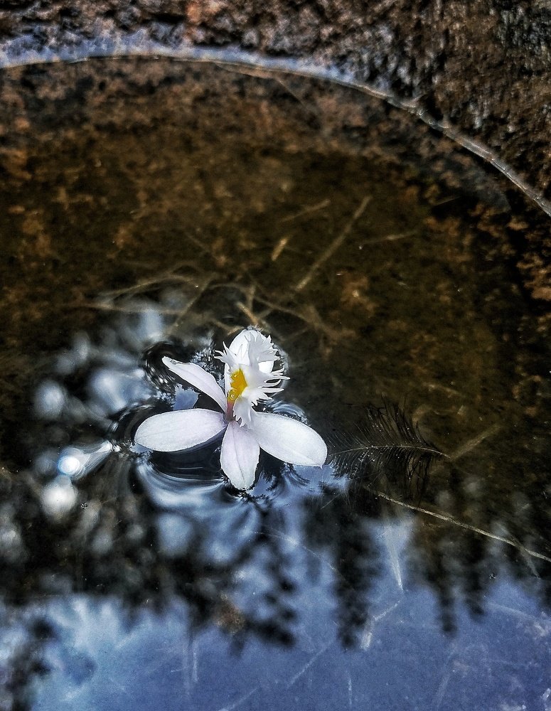 Photo #4800562