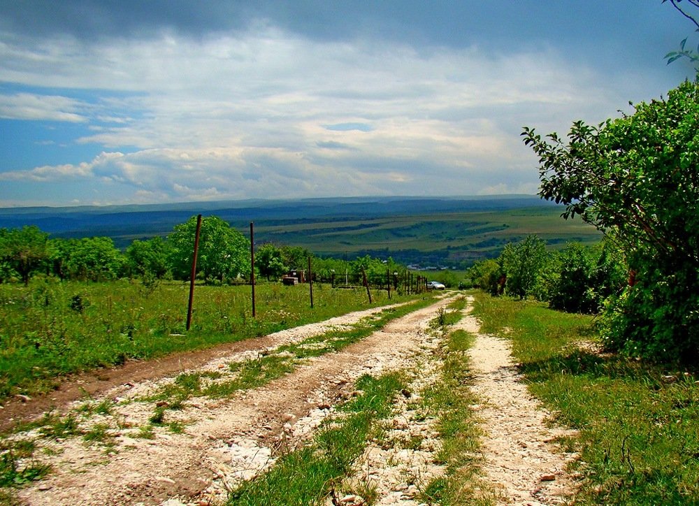 Photograph by Евгений Бригиневич - Снежин