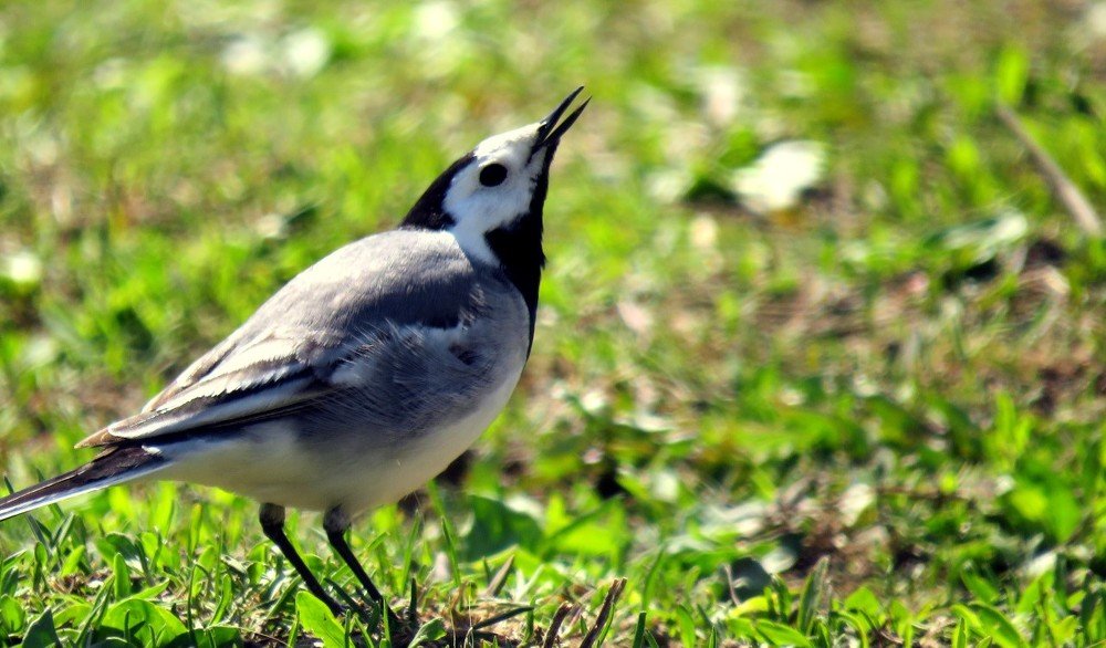 Photograph by Дмитрий Сорокин