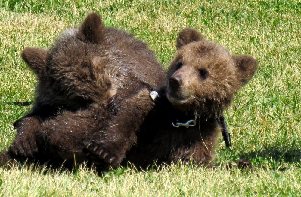 Photograph by Дмитрий Сорокин