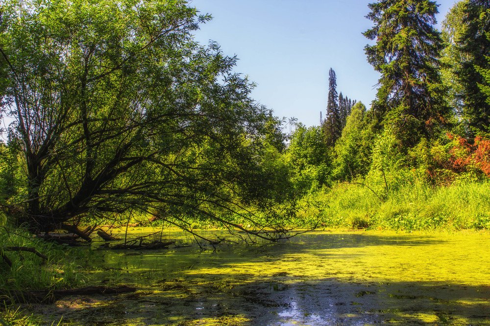 Photograph by Игорь Голубев