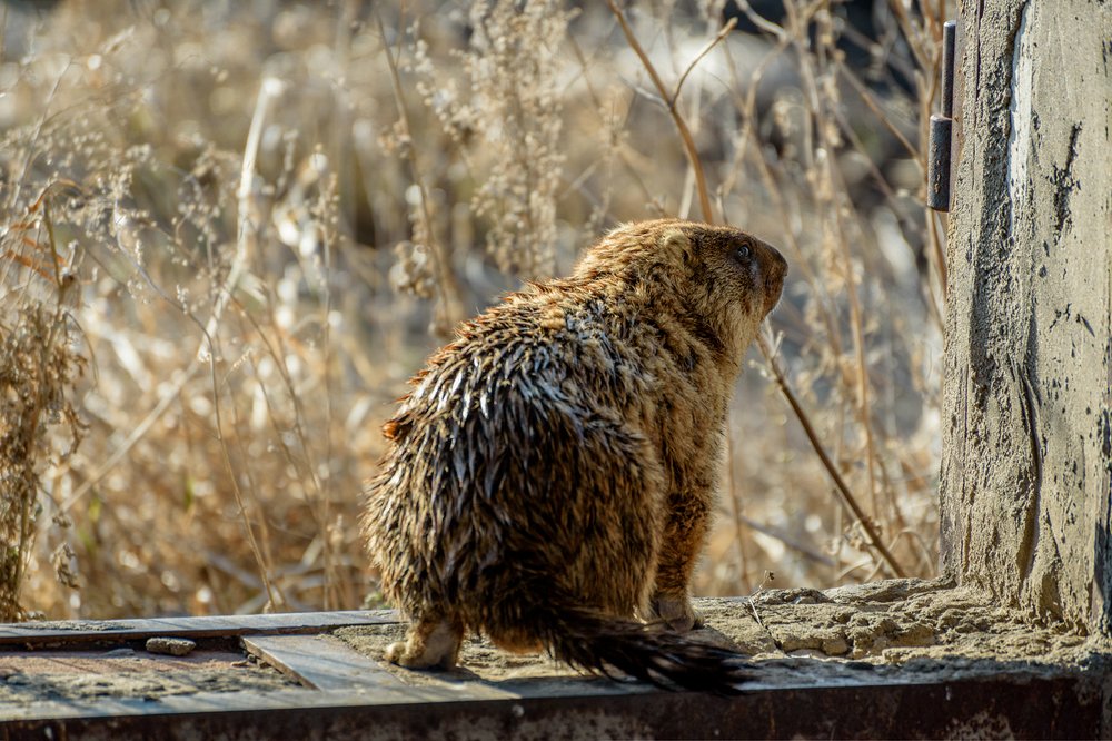 Photograph by Юрий Силин