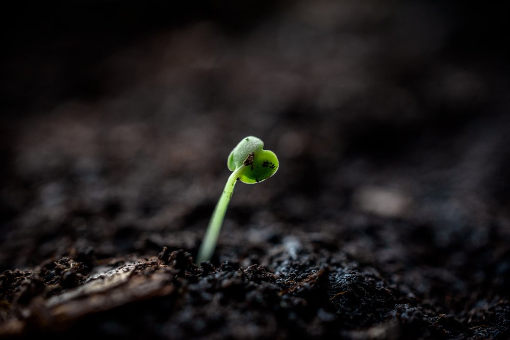 Photograph by Юрий Силин