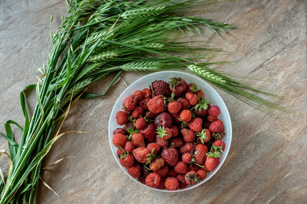 Photograph by Юрий Силин