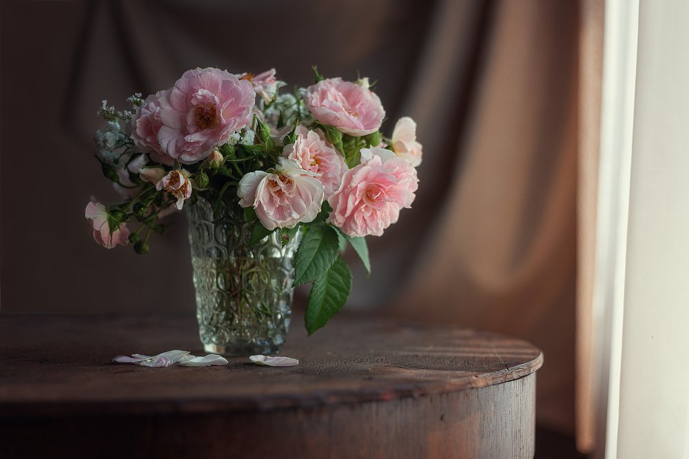 Photograph by Александра Каптелинина