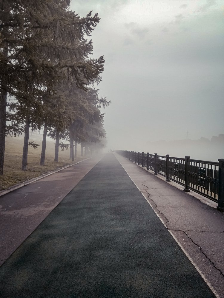 Photograph by Ольга Гаврикова