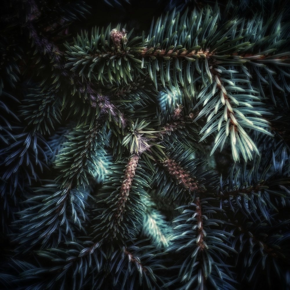 Photograph by Александр Сибиров